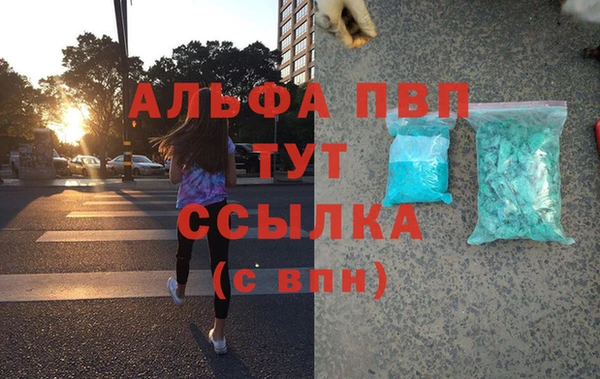 ПСИЛОЦИБИНОВЫЕ ГРИБЫ Дмитров
