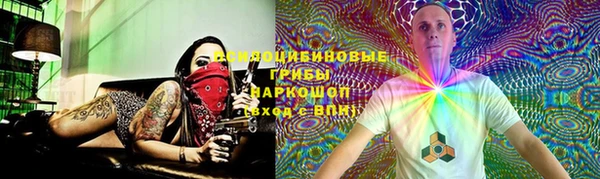 тгк Дмитровск