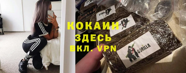ПСИЛОЦИБИНОВЫЕ ГРИБЫ Дмитров