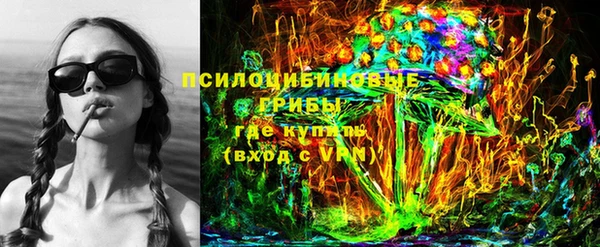 ешки Гусиноозёрск