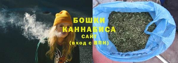 ПСИЛОЦИБИНОВЫЕ ГРИБЫ Дмитров