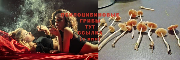 ПСИЛОЦИБИНОВЫЕ ГРИБЫ Дмитров