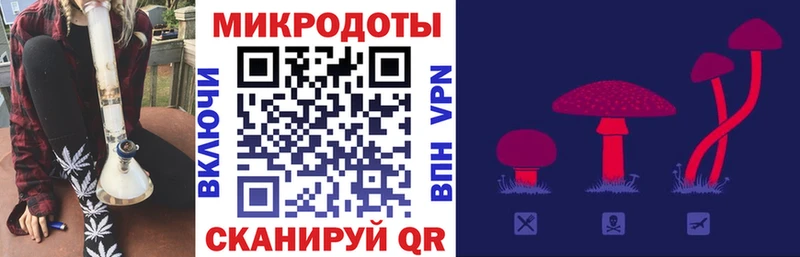 где купить   Видное  Псилоцибиновые грибы Psilocybe 
